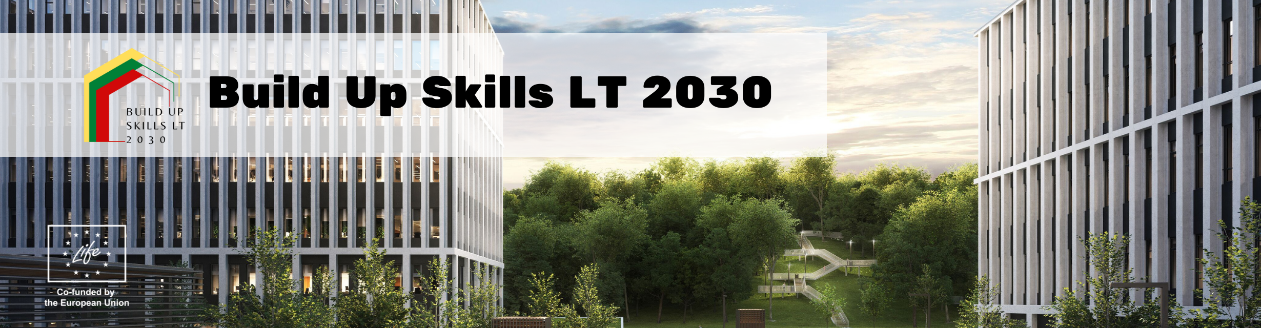 Buil Up Skills LT 2030